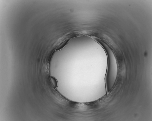 X0000095120425200712070948