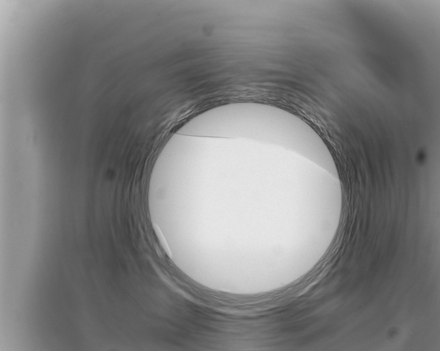 X0000095120431200712070947