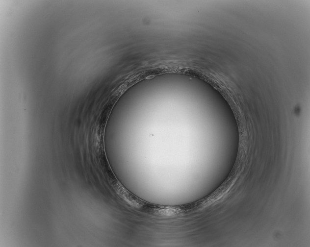 X0000095120432200712070947