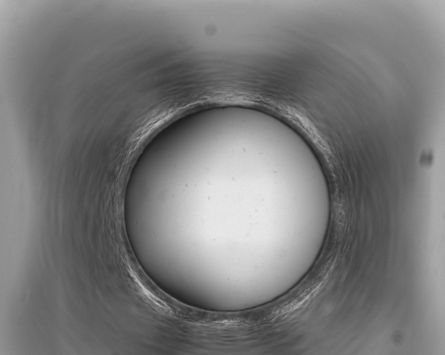 X0000095120433200712070946