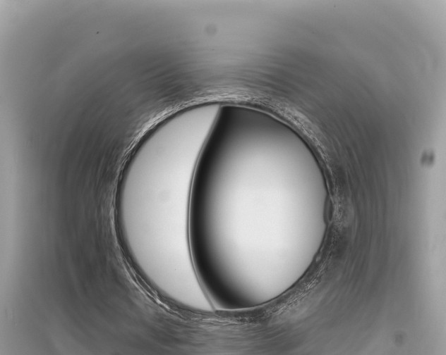 X0000095120434200712070947
