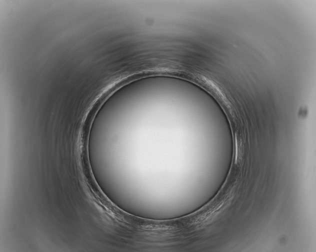 X0000095120435200712070947