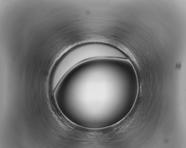 X0000095120436200712070947