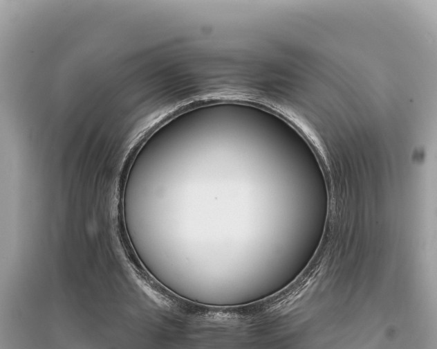 X0000095120437200712070947