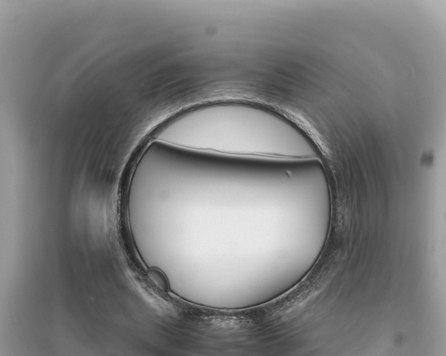 X0000095120439200712070947