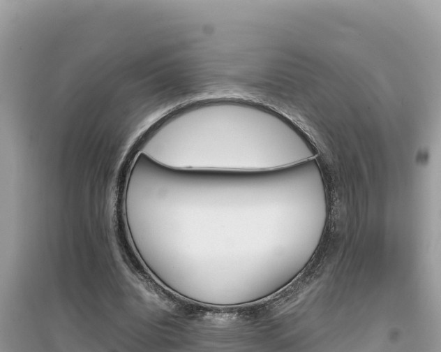 X0000095120440200712070947