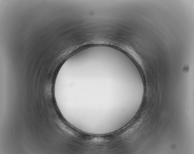 X0000095120441200712070947