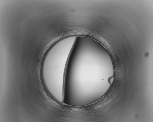 X0000095120442200712070947
