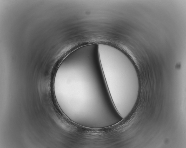 X0000095120443200712070947