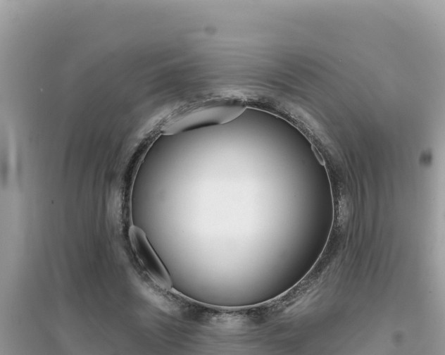X0000095120444200712070947