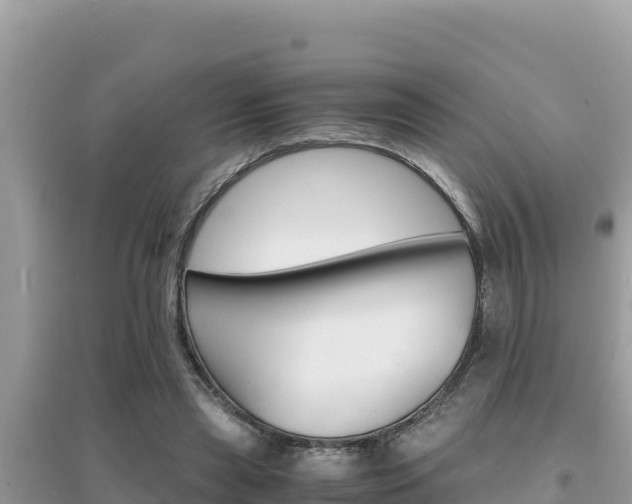 X0000095120445200712070947