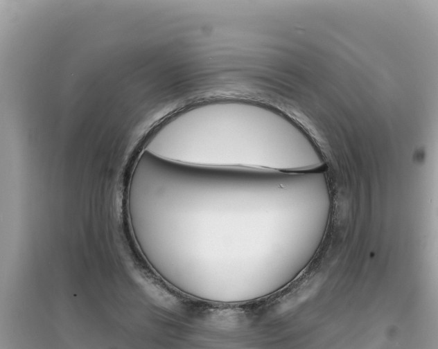 X0000095120446200712070947