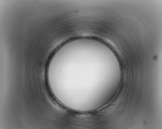 X0000095120447200712070947