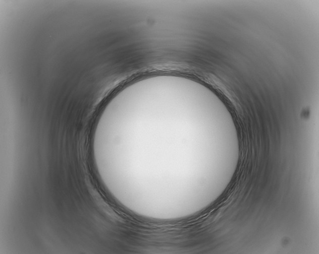 X0000095120448200712070947