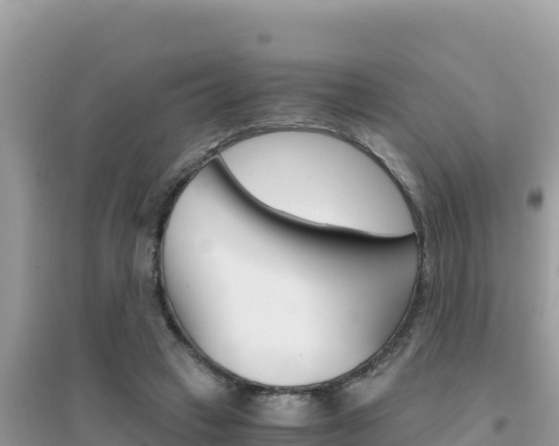 X0000095120449200712070947