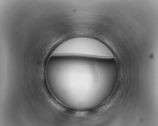 X0000095120450200712070947