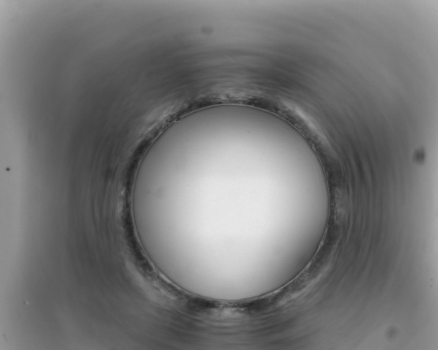X0000095120451200712070947