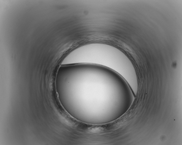 X0000095120452200712070947