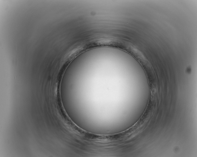X0000095120454200712070947