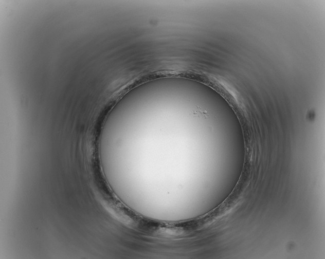 X0000095120455200712070947