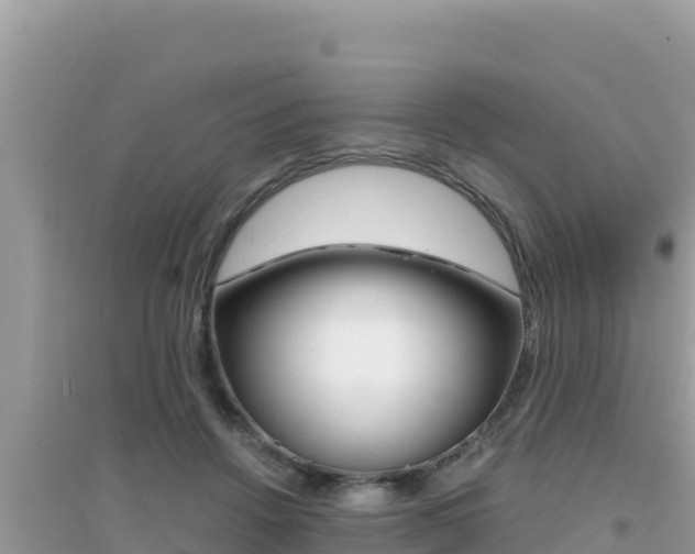 X0000095120456200712070947