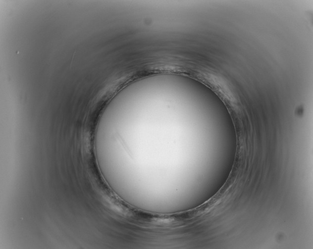 X0000095120457200712070947