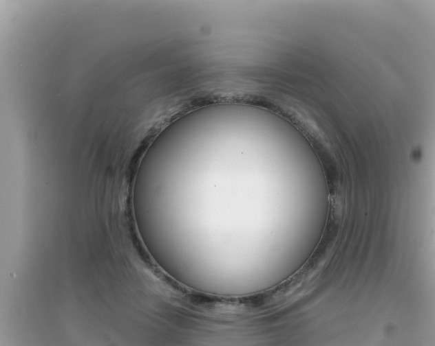 X0000095120458200712070947