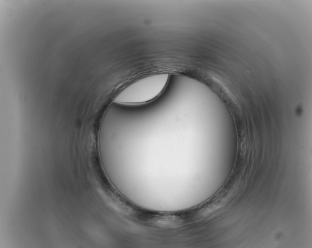 X0000095120459200712070947