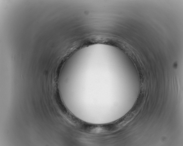 X0000095120460200712070947