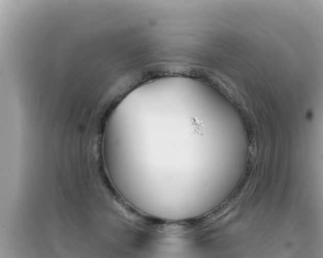 X0000095120462200712070947