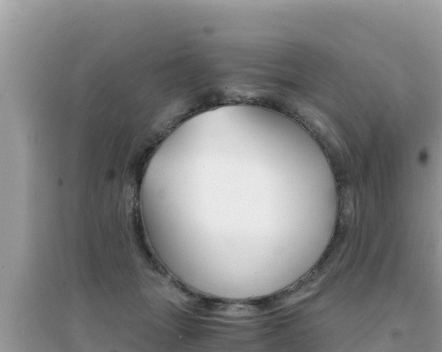 X0000095120463200712070947