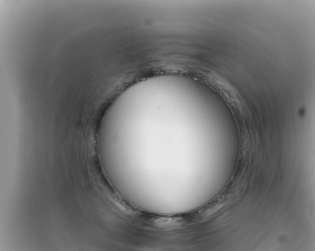 X0000095120465200712070947