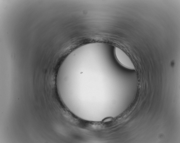 X0000095120466200712070947