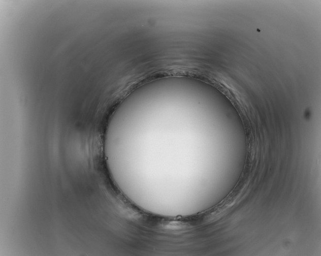 X0000095120467200712070947