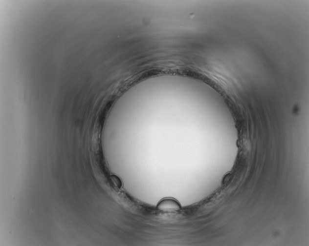 X0000095120468200712070947