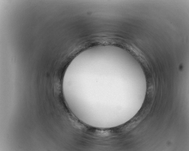 X0000095120469200712070947