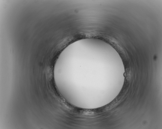 X0000095120471200712070947