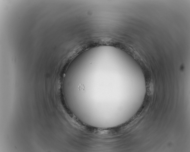 X0000095120472200712070947