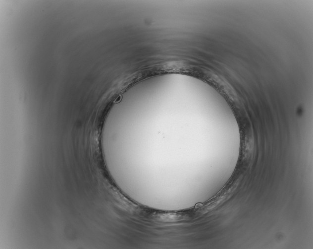 X0000095120473200712070947