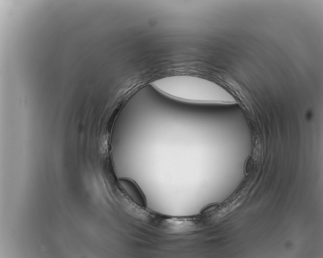 X0000095120477200712070947