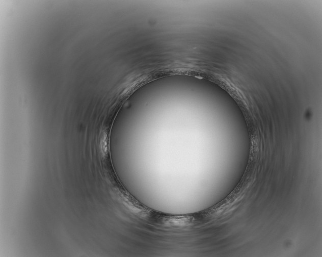 X0000095120479200712070947