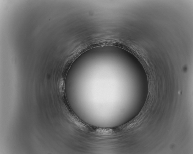 X0000095120480200712070947