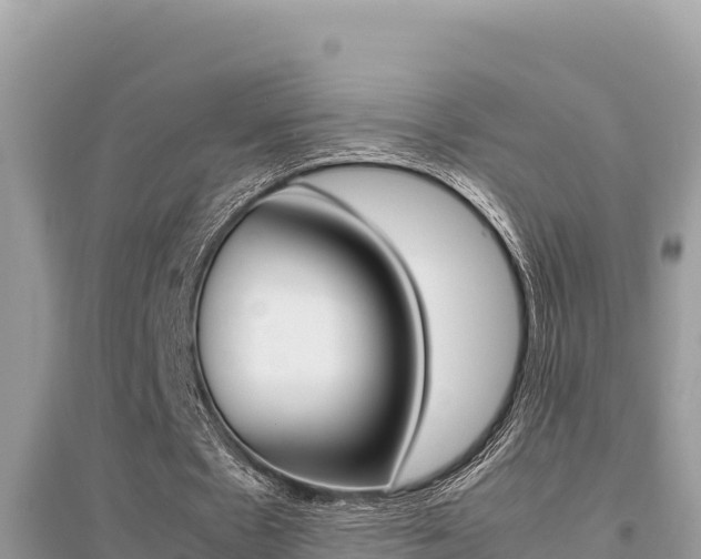 X0000095120481200712070946