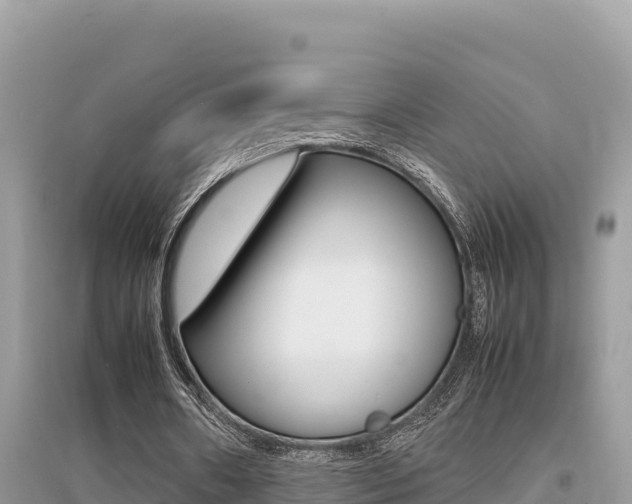 X0000095120482200712070946