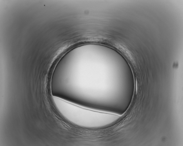 X0000095120483200712070946