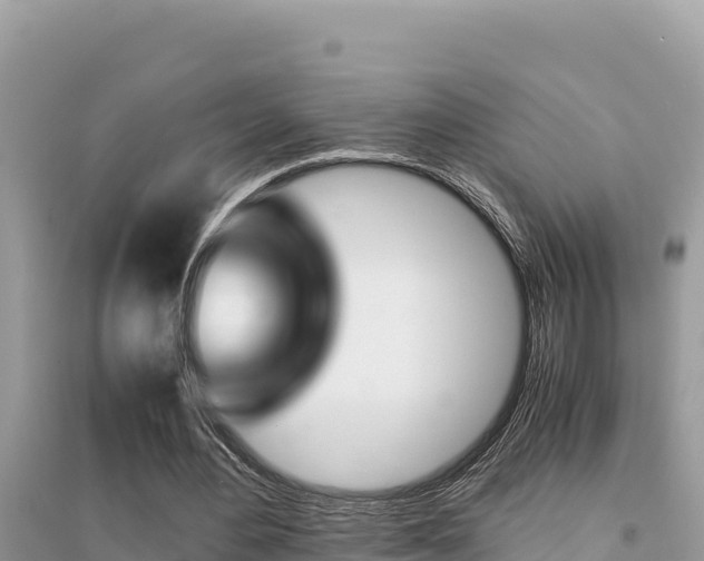 X0000095120484200712070946