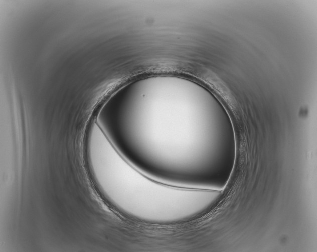 X0000095120485200712070946