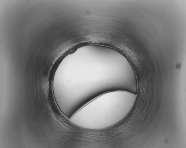 X0000095120488200712070946