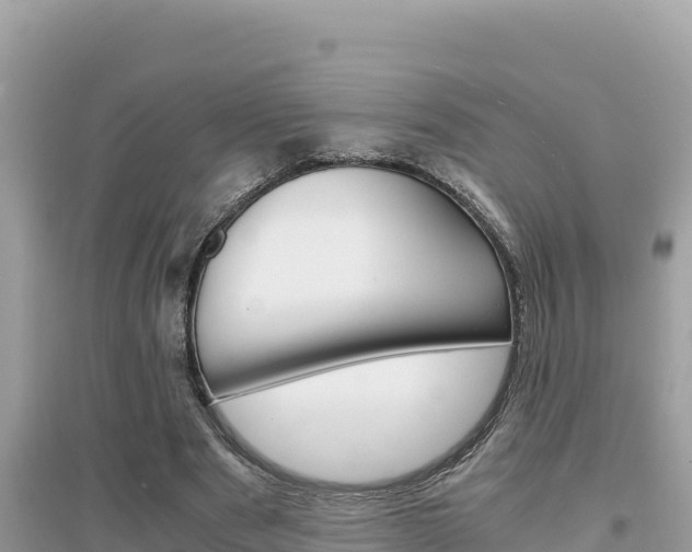 X0000095120489200712070946
