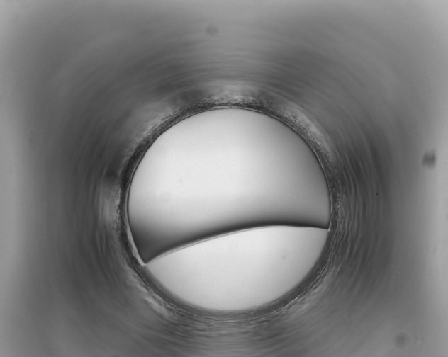 X0000095120490200712070946
